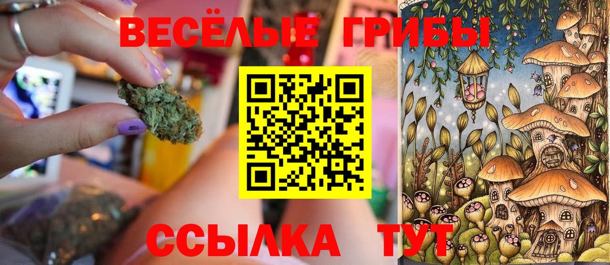 Галлюциногенные грибы MAGIC MUSHROOMS  Псилоцибиновые грибы Cubensis  Янаул  Вход с VPN 