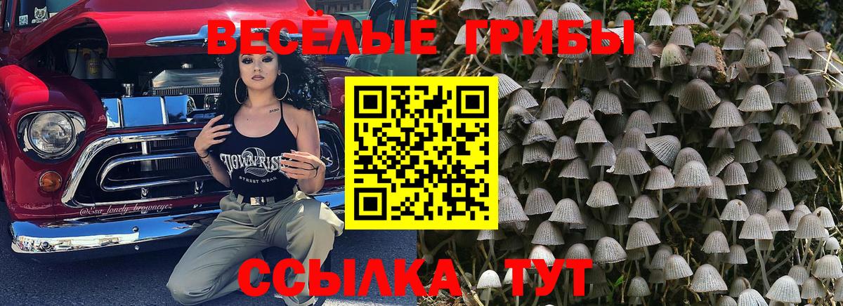 Галлюциногенные грибы прущие грибы Янаул